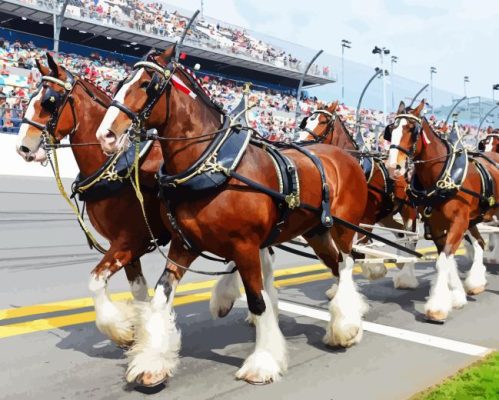 Budweiser Clydesdales Nascar Paint By Numbers