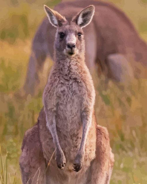 Eastern Grey Kangaroo Paint By Numbers