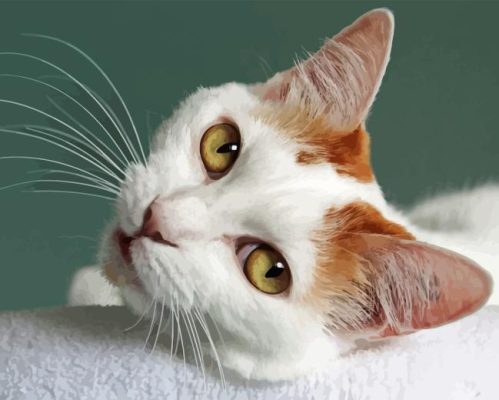 Japanese Bobtail Face Paint By Numbers