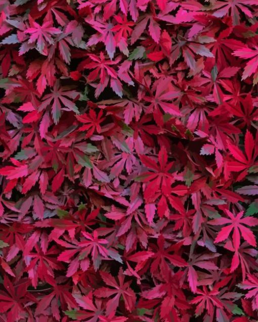 Maroon Leaves Plants Paint By Numbers