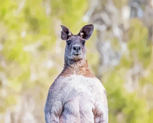 Strong Eastern Grey Kangaroo Paint By Numbers