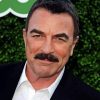 The American Tom Selleck Paint By Numbers