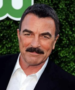 The American Tom Selleck Paint By Numbers
