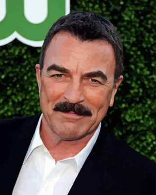 The American Tom Selleck Paint By Numbers