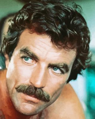 Young Tom Selleck Paint By Numbers