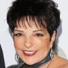 American Actress Liza Minnelli Paint By Numbers