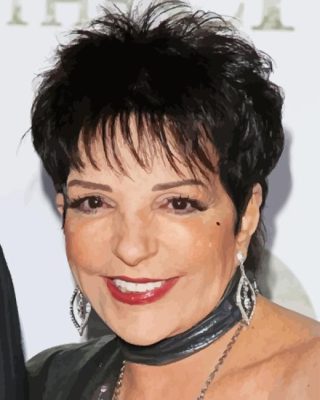 American Actress Liza Minnelli Paint By Numbers