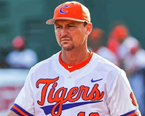 Clemson University Baseballer Paint By Numbers