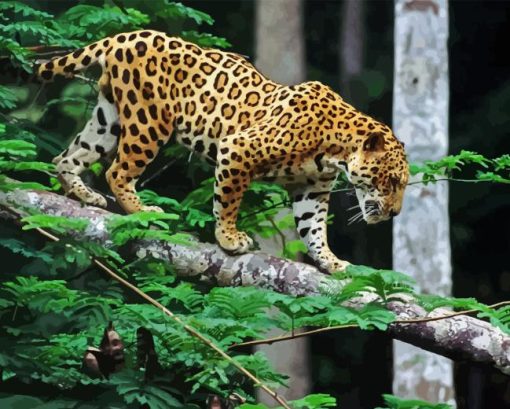 Jaguar and Forest Paint By Numbers