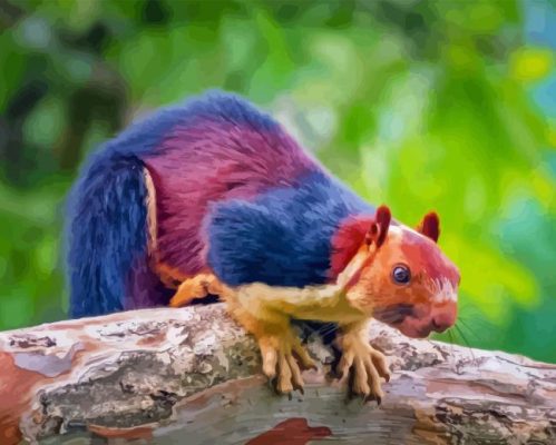 Rainbow Squirrel Paint By Numbers