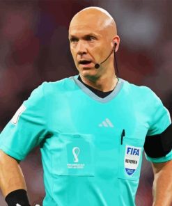 Anthony Taylor Football Referee Paint By Numbers
