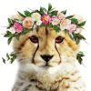 Cheetah With Flowers Paint By Numbers
