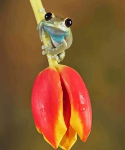 Frog On a Tulip Paint By Numbers