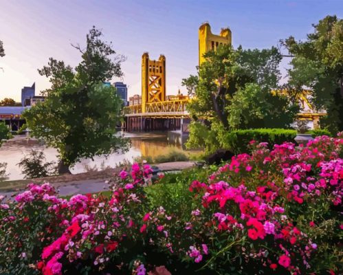 Sacramento City Bridge Paint By Numbers