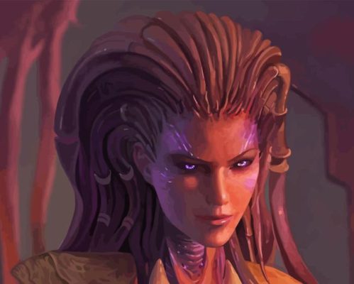 Sarah Kerrigan Paint By Numbers