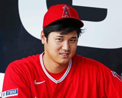 Shohei Ohtani Paint By Numbers