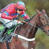 Sprinter Sacre Horse Racing Paint By Numbers