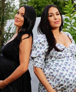 The Bella Twins Pregnant Paint By Numbers