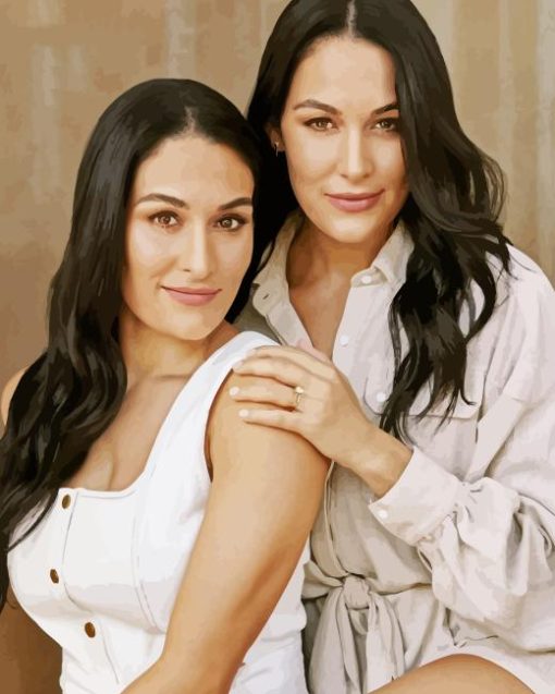The Bella Twins Paint By Numbers