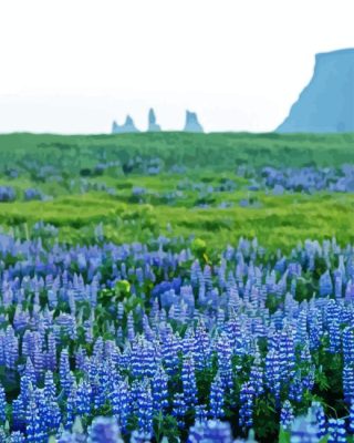 Blue Lupines Field Paint By Numbers