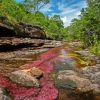 Cano Cristales River View Paint By Numbers