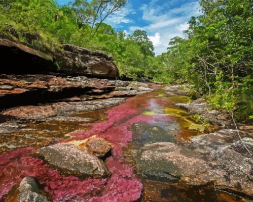 Cano Cristales River View Paint By Numbers