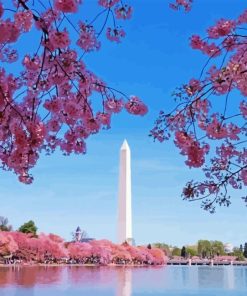 Cherry Blossoms Washington Paint By Numbers
