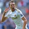 Footballer Michu Paint By Numbers