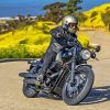 Honda Shadow Rider Paint By Numbers