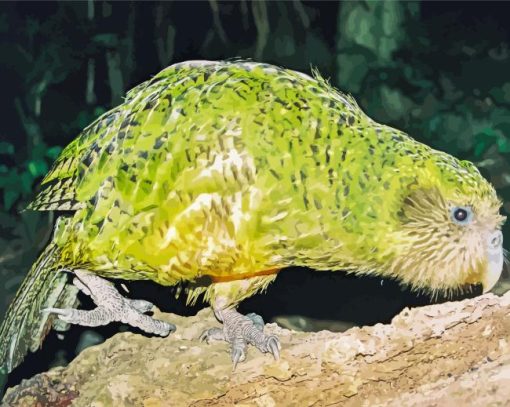 Kakapo On Tree Paint By Numbers