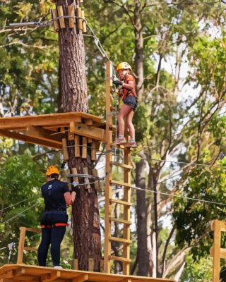 Tree Climbing Paint By Numbers