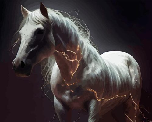 White Horse With Lightning Paint By Numbers