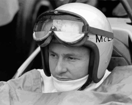 Bruce McLaren Paint By Numbers