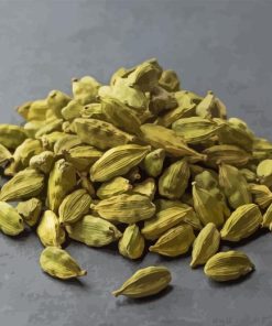 Cardamom Food Paint By Numbers