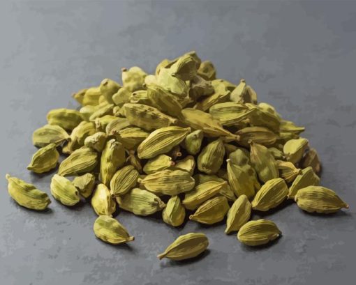 Cardamom Food Paint By Numbers