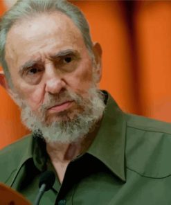 Fidel Castro Paint By Numbers