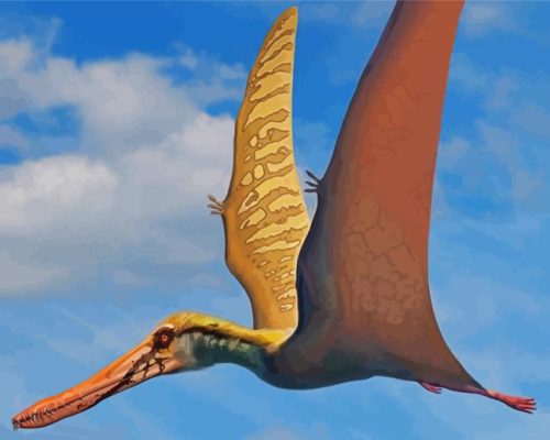 Flying Pterosaur Paint By Numbers