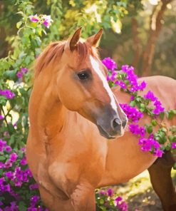 Horses and Purple Flowers Paint By Numbers