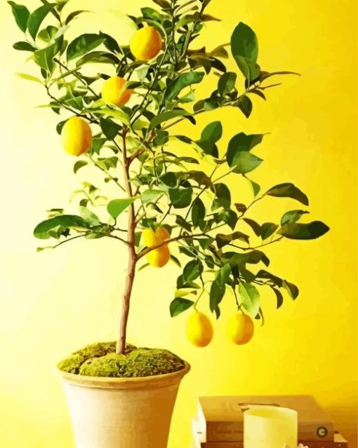 Lemon In Pot Paint By Numbers