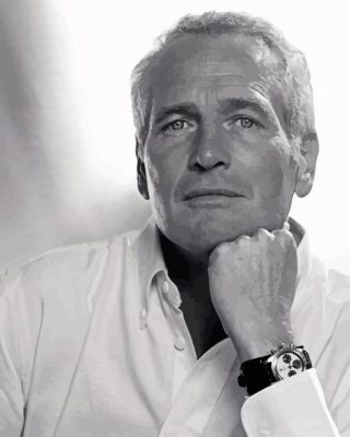 Paul Newman Paint By Numbers