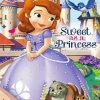 Princess Sofia The First Paint By Numbers