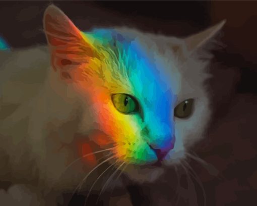 Rainbow Reflection Cat Paint By Numbers
