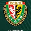Slask Wroclaw Paint By Numbers