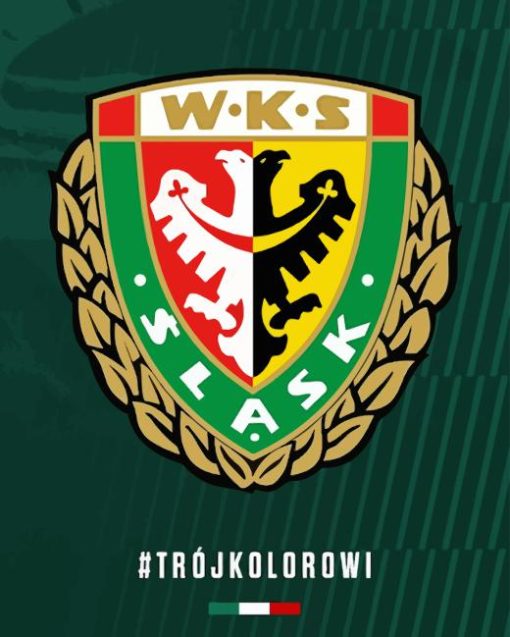 Slask Wroclaw Paint By Numbers