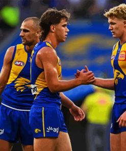 West Coast Eagles Paint By Numbers