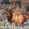 Wild Elk Herd Paint By Numbers