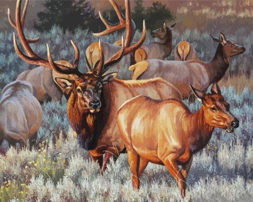 Wild Elk Herd Paint By Numbers