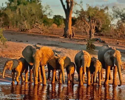 African Elephants In Botswana Paint By Numbers