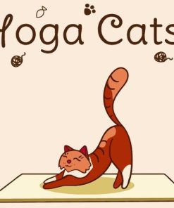 Cat Yoga Paint By Numbers