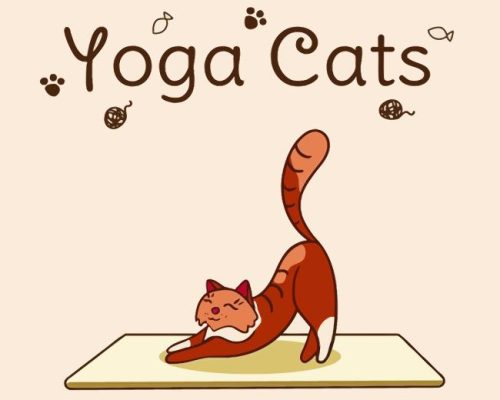 Cat Yoga Paint By Numbers